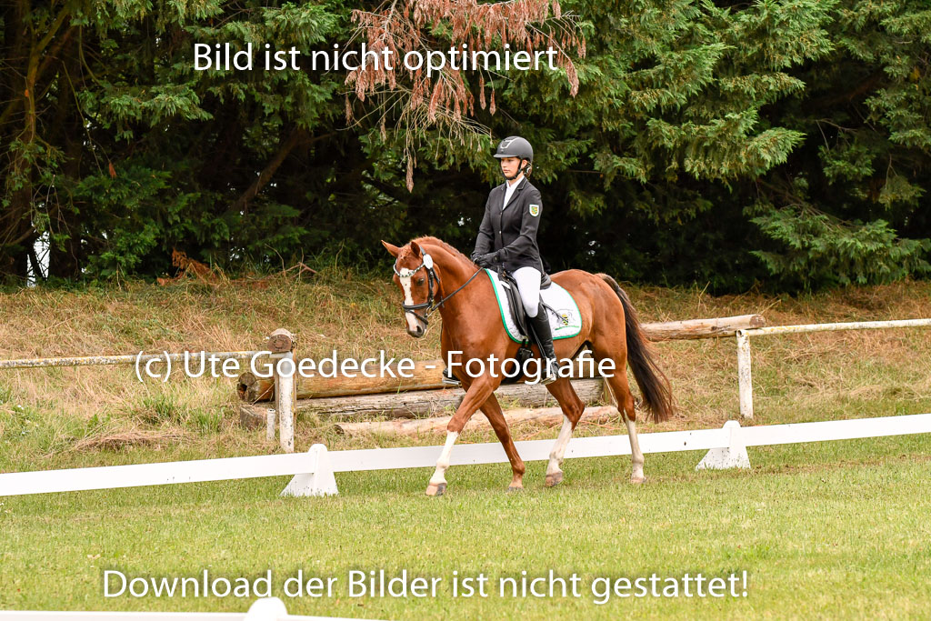 Goldene Schärpe Ponys in Hohenberg Krusemark 2024 | 12072024 Dressur _0701
