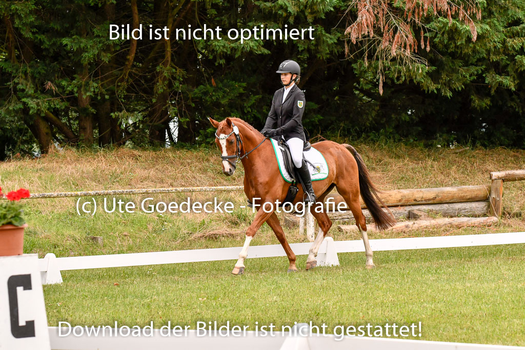 Goldene Schärpe Ponys in Hohenberg Krusemark 2024 | 12072024 Dressur _0702 