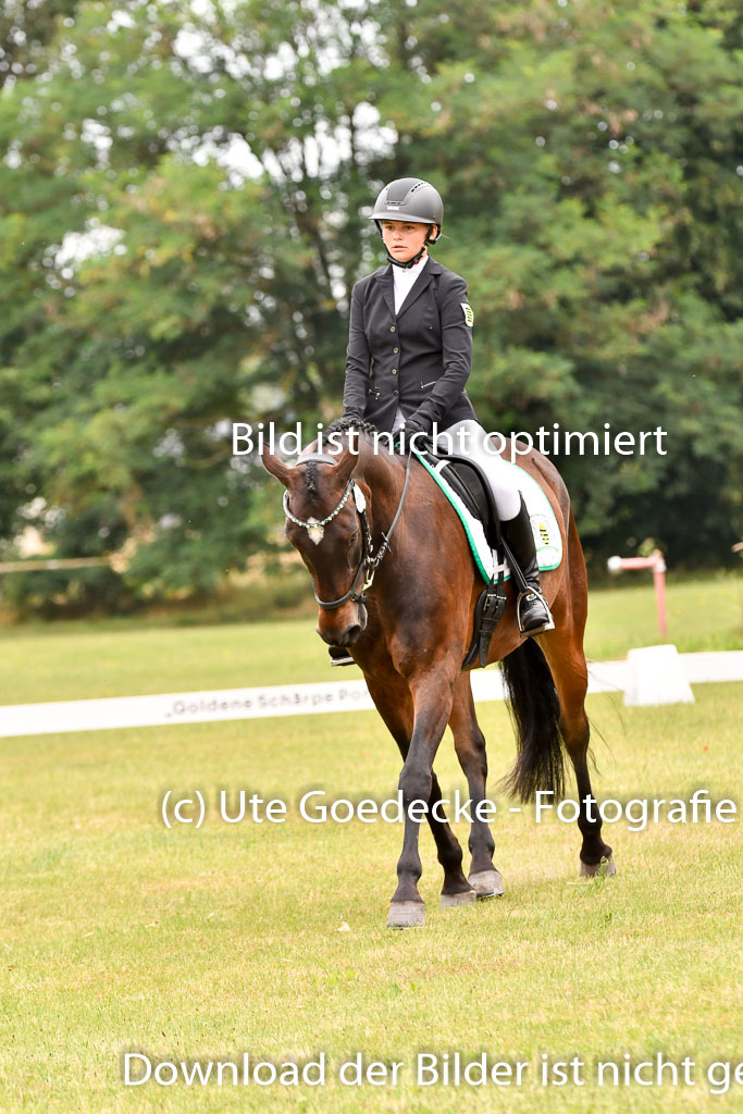 Goldene Schärpe Ponys in Hohenberg Krusemark 2024 | 12072024 Dressur _0704