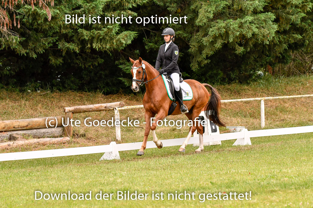 Goldene Schärpe Ponys in Hohenberg Krusemark 2024 | 12072024 Dressur _0711 