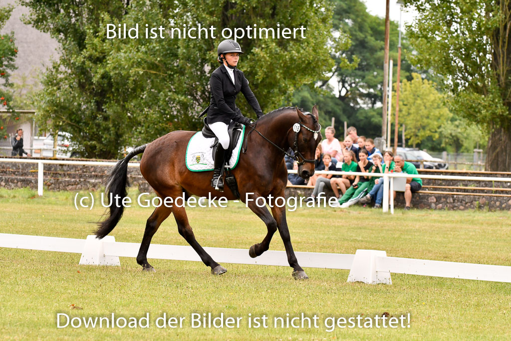 Goldene Schärpe Ponys in Hohenberg Krusemark 2024 | 12072024 Dressur _0713
