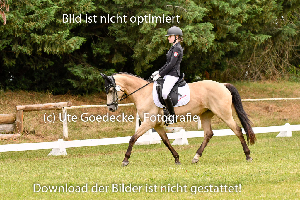 Goldene Schärpe Ponys in Hohenberg Krusemark 2024 | 12072024 Dressur _0720 