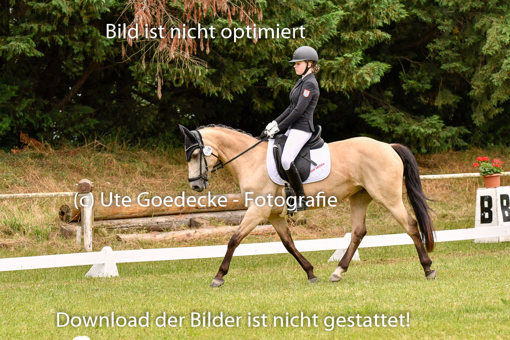 Goldene Schärpe Ponys in Hohenberg Krusemark 2024 | 12072024 Dressur _0721 