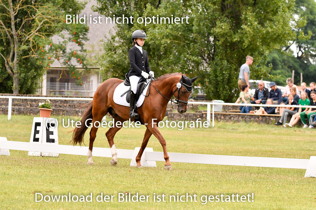 Goldene Schärpe Ponys in Hohenberg Krusemark 2024 | 12072024 Dressur _0722