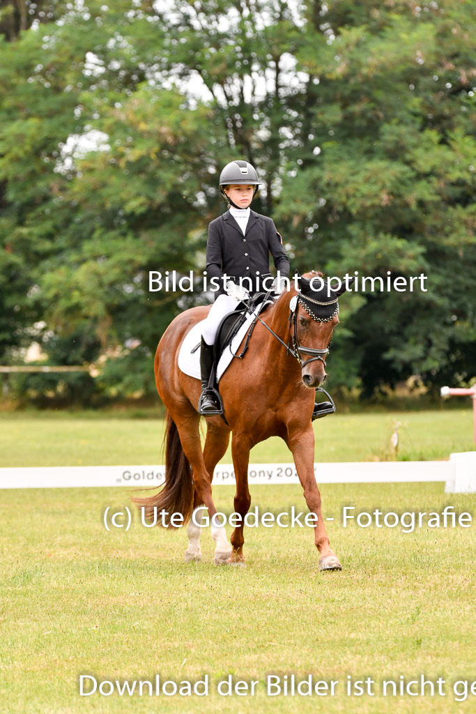 Goldene Schärpe Ponys in Hohenberg Krusemark 2024 | 12072024 Dressur _0723 