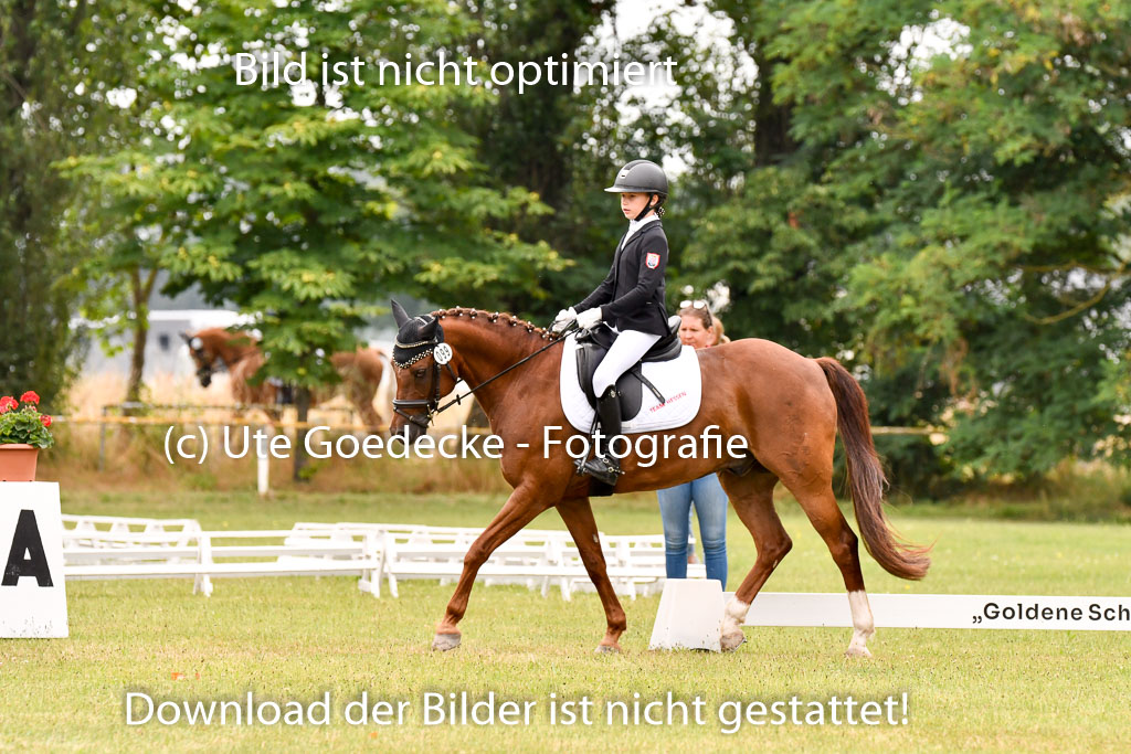 Goldene Schärpe Ponys in Hohenberg Krusemark 2024 | 12072024 Dressur _0729 