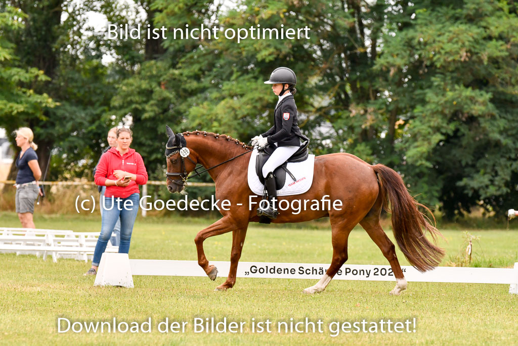 Goldene Schärpe Ponys in Hohenberg Krusemark 2024 | 12072024 Dressur _0730