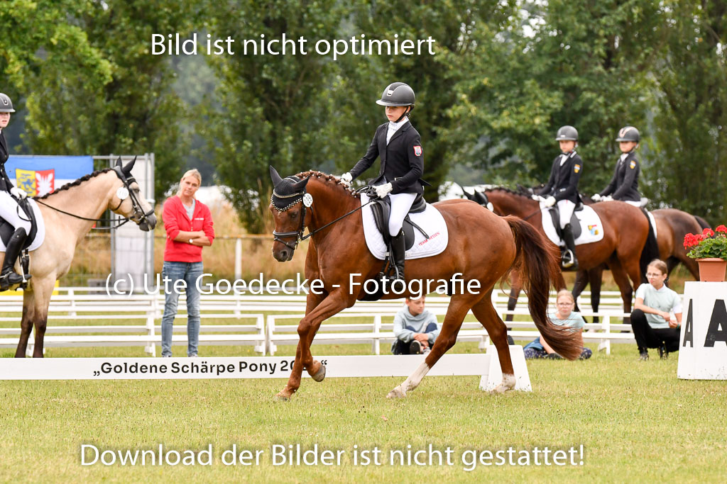 Goldene Schärpe Ponys in Hohenberg Krusemark 2024 | 12072024 Dressur _0731