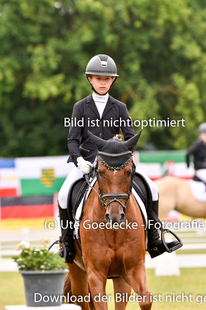 Goldene Schärpe Ponys in Hohenberg Krusemark 2024 | 12072024 Dressur _0733 