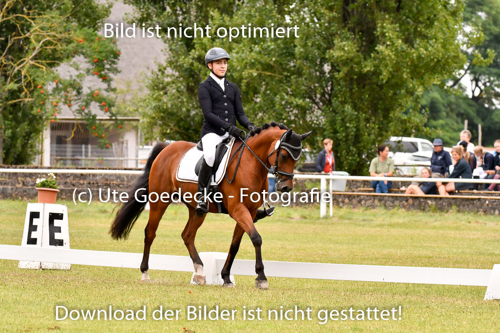 Goldene Schärpe Ponys in Hohenberg Krusemark 2024 | 12072024 Dressur _0735 