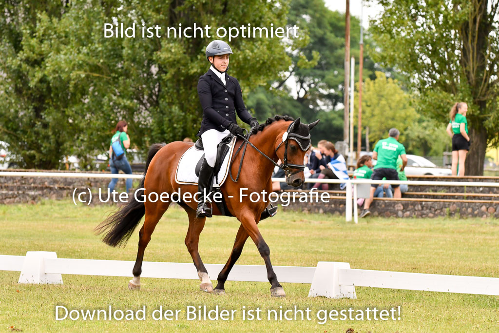 Goldene Schärpe Ponys in Hohenberg Krusemark 2024 | 12072024 Dressur _0736