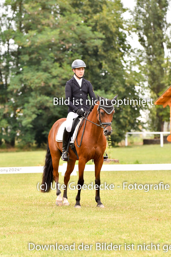 Goldene Schärpe Ponys in Hohenberg Krusemark 2024 | 12072024 Dressur _0737 