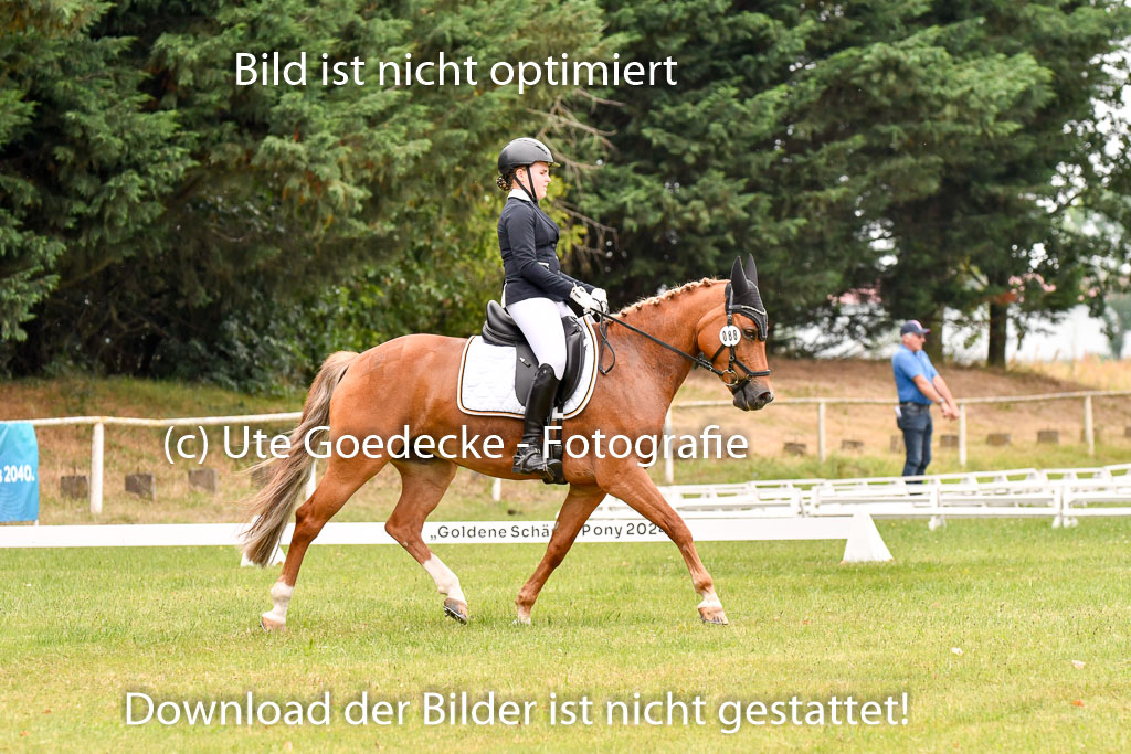 Goldene Schärpe Ponys in Hohenberg Krusemark 2024 | 12072024 Dressur _0738 