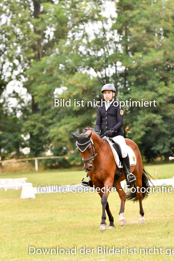 Goldene Schärpe Ponys in Hohenberg Krusemark 2024 | 12072024 Dressur _0739 