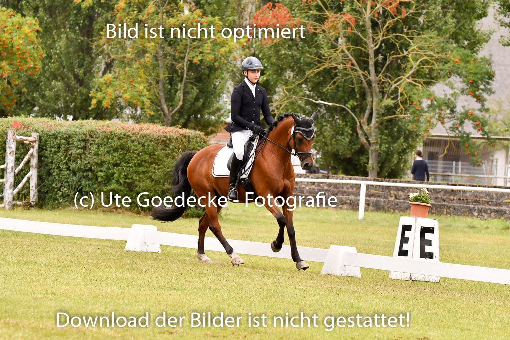Goldene Schärpe Ponys in Hohenberg Krusemark 2024 | 12072024 Dressur _0744