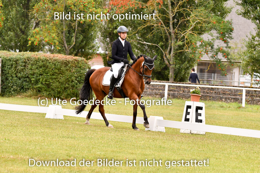 Goldene Schärpe Ponys in Hohenberg Krusemark 2024 | 12072024 Dressur _0745 