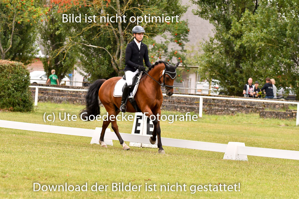 Goldene Schärpe Ponys in Hohenberg Krusemark 2024 | 12072024 Dressur _0746