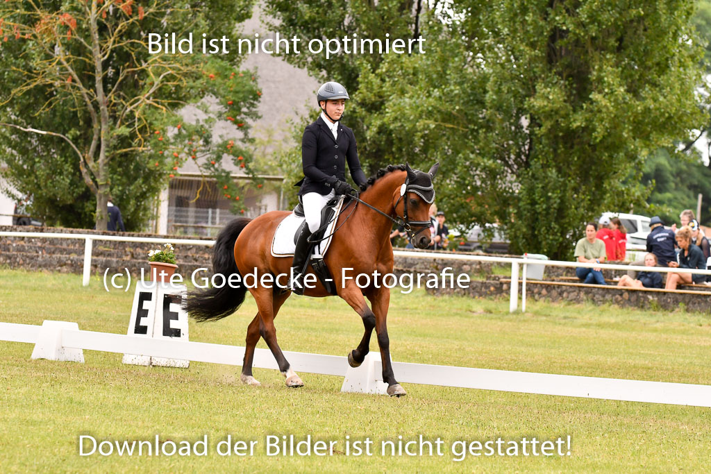 Goldene Schärpe Ponys in Hohenberg Krusemark 2024 | 12072024 Dressur _0747 