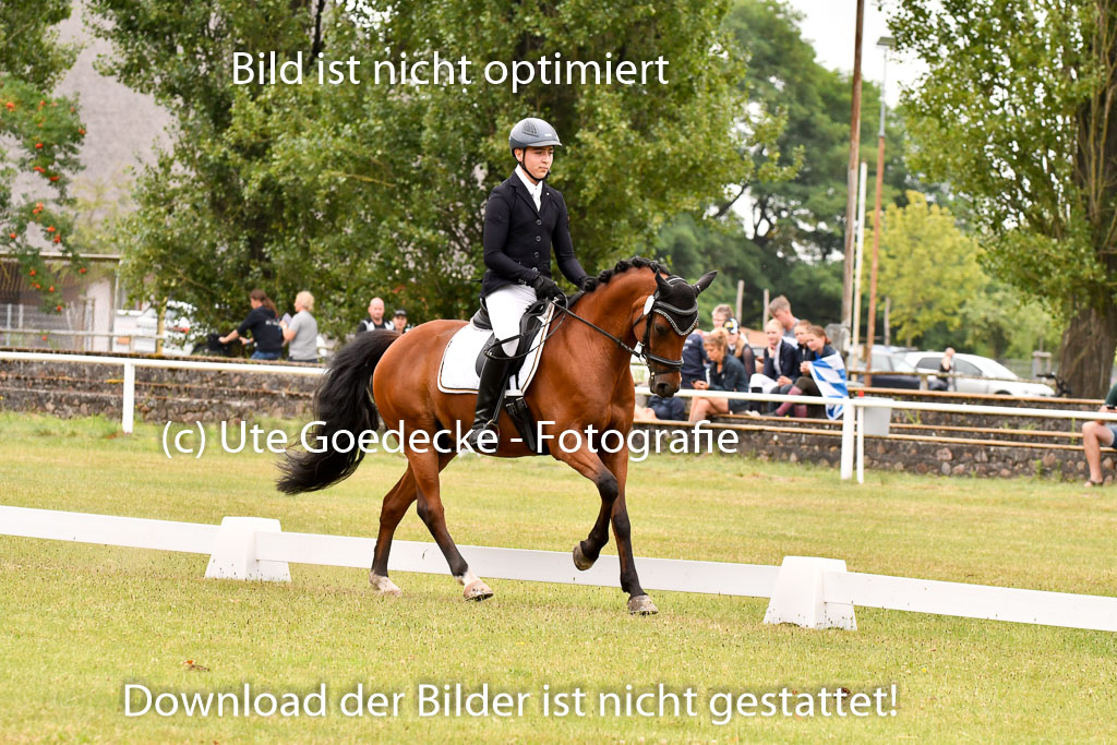 Goldene Schärpe Ponys in Hohenberg Krusemark 2024 | 12072024 Dressur _0748 