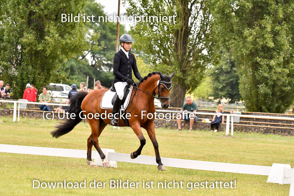 Goldene Schärpe Ponys in Hohenberg Krusemark 2024 | 12072024 Dressur _0749 