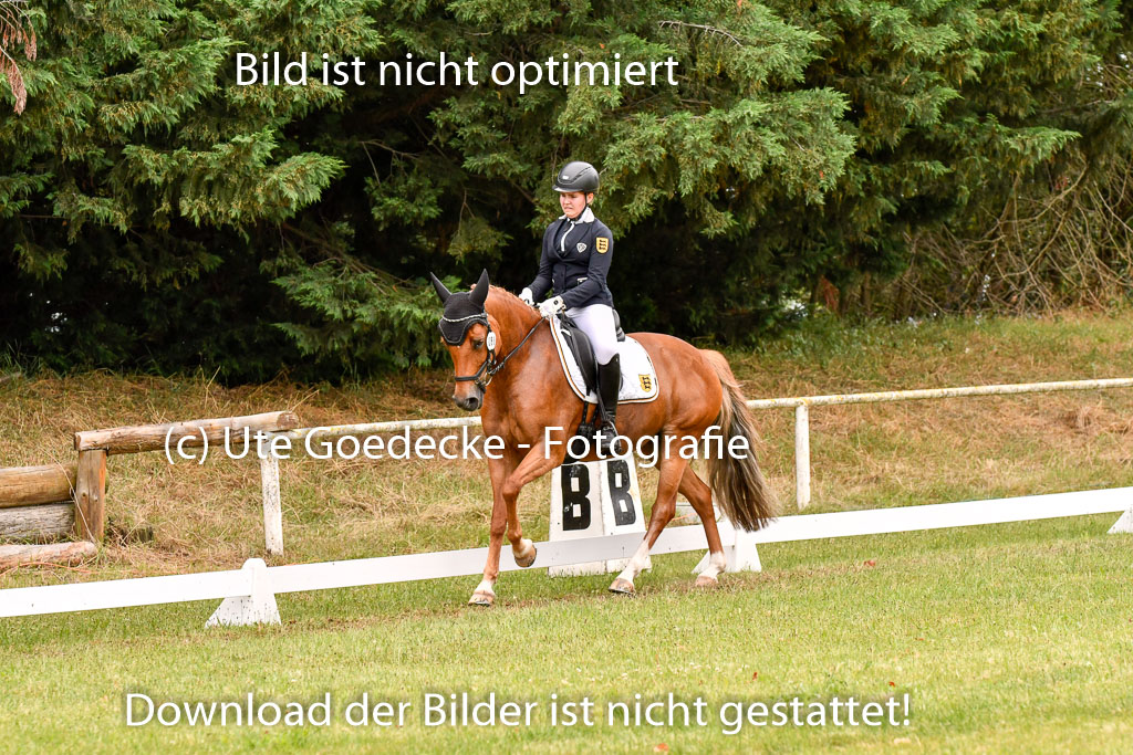 Goldene Schärpe Ponys in Hohenberg Krusemark 2024 | 12072024 Dressur _0750