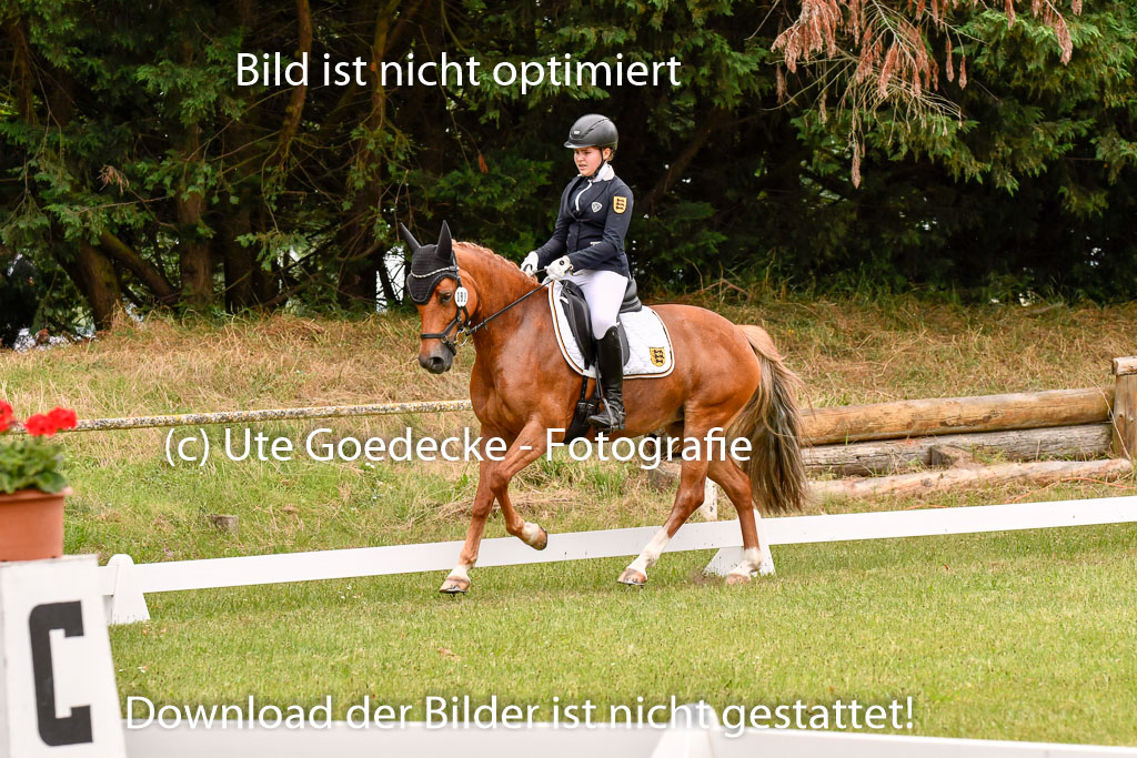 Goldene Schärpe Ponys in Hohenberg Krusemark 2024 | 12072024 Dressur _0752 