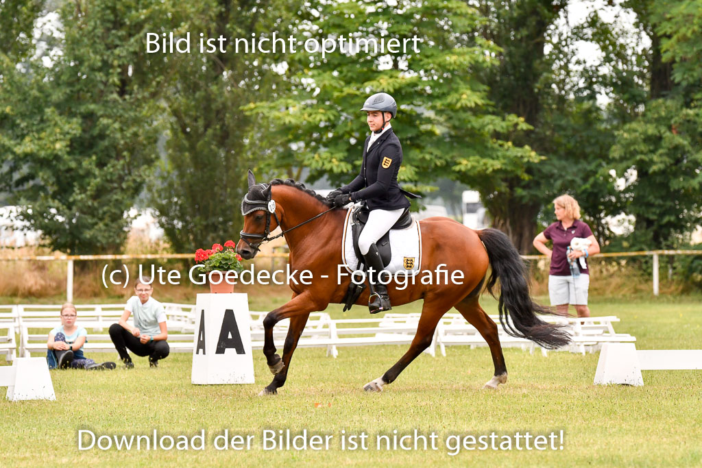 Goldene Schärpe Ponys in Hohenberg Krusemark 2024 | 12072024 Dressur _0753