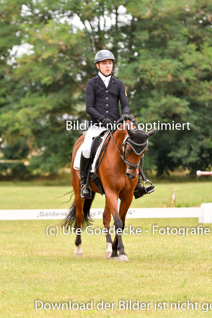 Goldene Schärpe Ponys in Hohenberg Krusemark 2024 | 12072024 Dressur _0755 