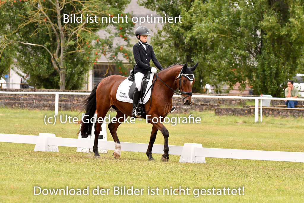 Goldene Schärpe Ponys in Hohenberg Krusemark 2024 | 12072024 Dressur _0757