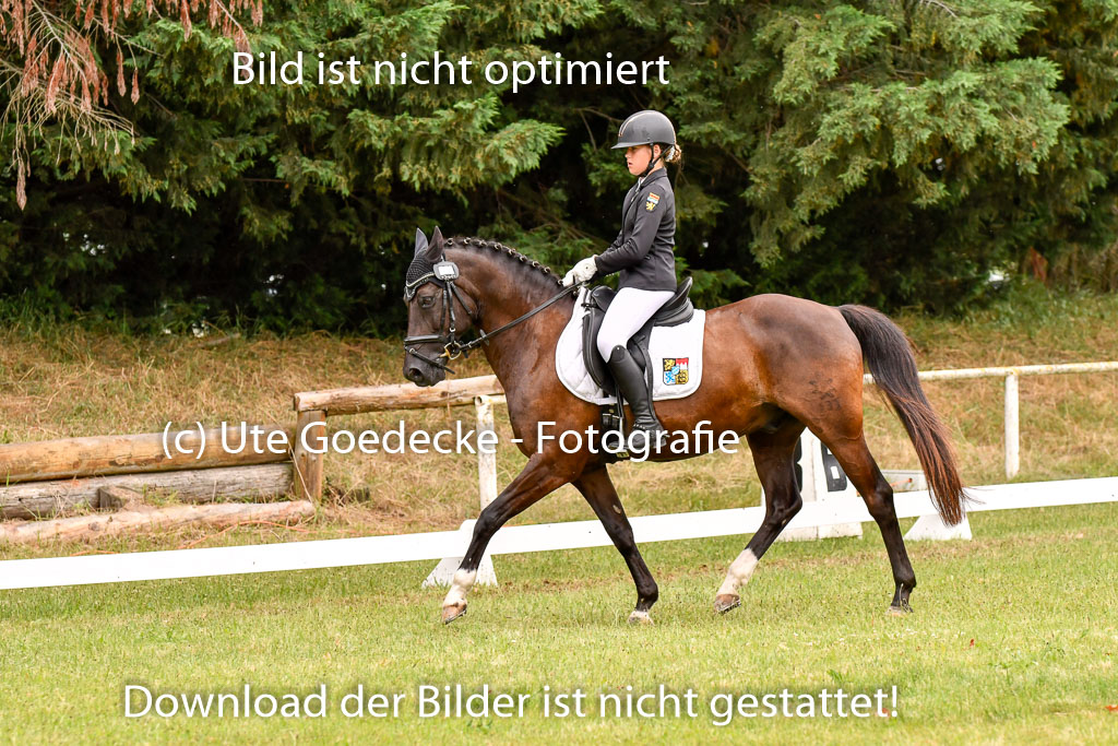 Goldene Schärpe Ponys in Hohenberg Krusemark 2024 | 12072024 Dressur _0761
