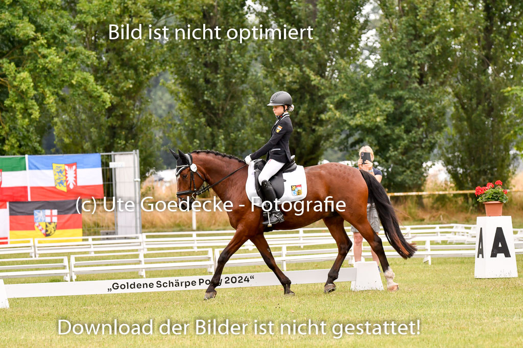 Goldene Schärpe Ponys in Hohenberg Krusemark 2024 | 12072024 Dressur _0763