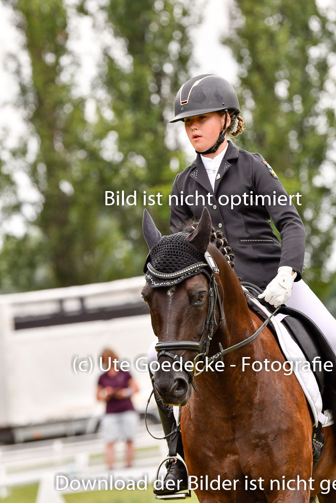 Goldene Schärpe Ponys in Hohenberg Krusemark 2024 | 12072024 Dressur _0766 