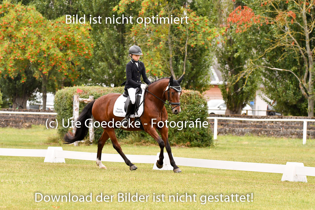 Goldene Schärpe Ponys in Hohenberg Krusemark 2024 | 12072024 Dressur _0768 