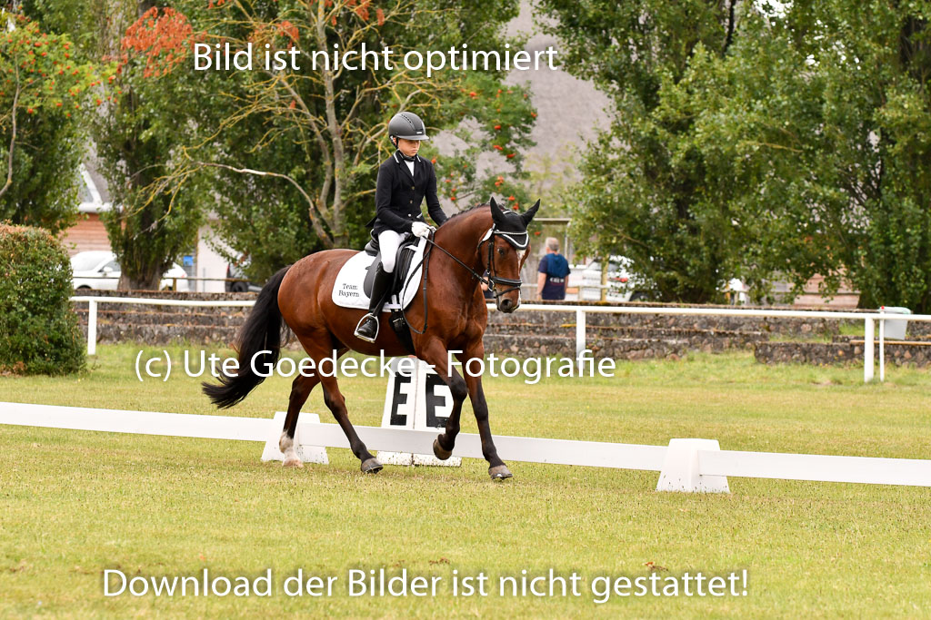 Goldene Schärpe Ponys in Hohenberg Krusemark 2024 | 12072024 Dressur _0769