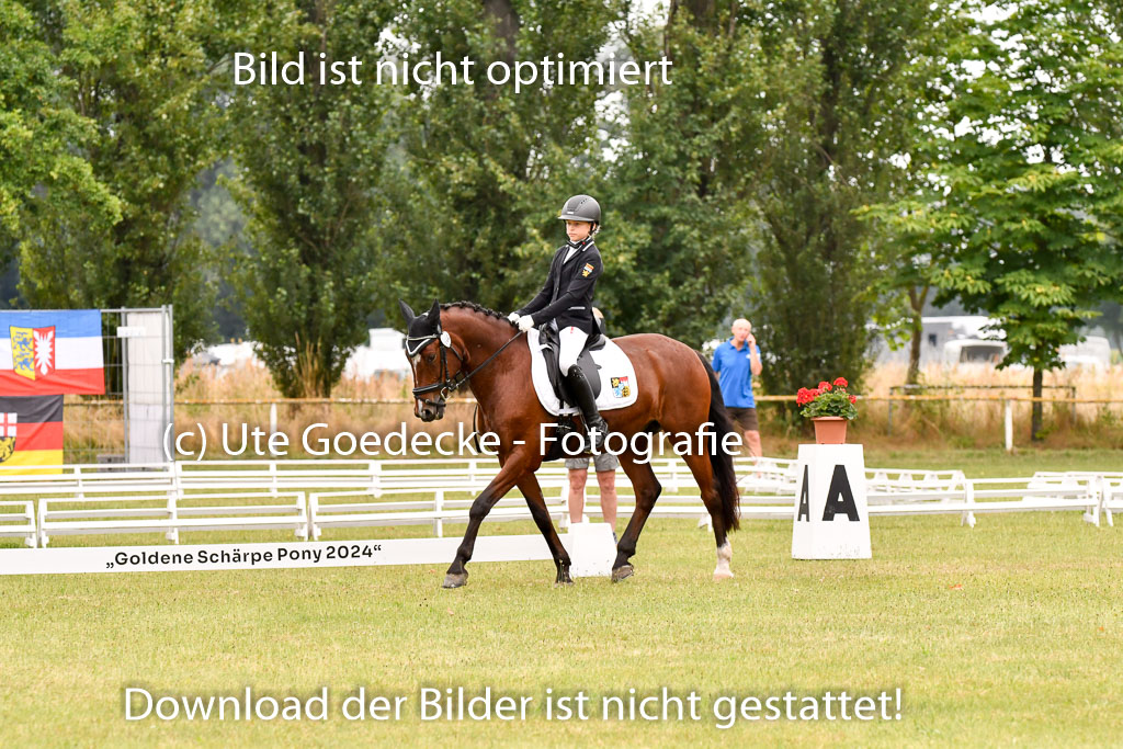 Goldene Schärpe Ponys in Hohenberg Krusemark 2024 | 12072024 Dressur _0770
