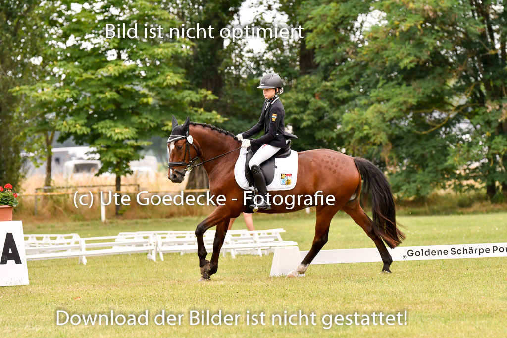 Goldene Schärpe Ponys in Hohenberg Krusemark 2024 | 12072024 Dressur _0771 