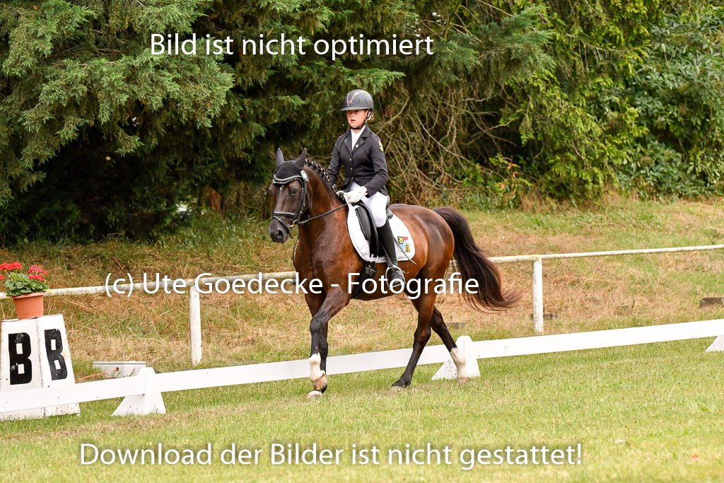 Goldene Schärpe Ponys in Hohenberg Krusemark 2024 | 12072024 Dressur _0773 