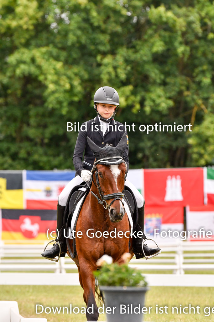 Goldene Schärpe Ponys in Hohenberg Krusemark 2024 | 12072024 Dressur _0776