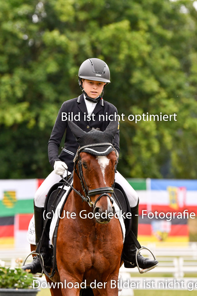 Goldene Schärpe Ponys in Hohenberg Krusemark 2024 | 12072024 Dressur _0777 