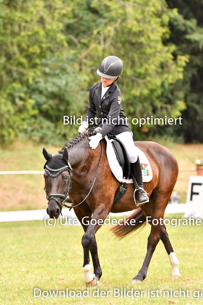 Goldene Schärpe Ponys in Hohenberg Krusemark 2024 | 12072024 Dressur _0778 