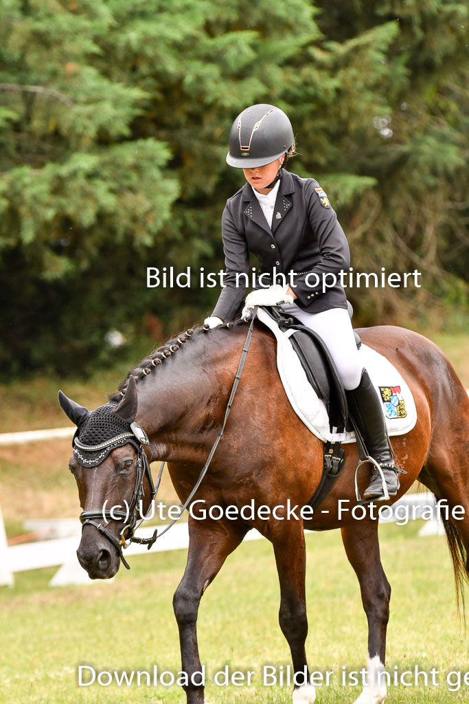 Goldene Schärpe Ponys in Hohenberg Krusemark 2024 | 12072024 Dressur _0779