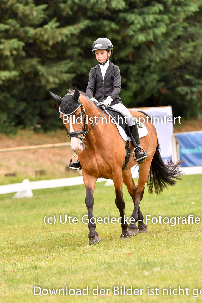 Goldene Schärpe Ponys in Hohenberg Krusemark 2024 | 12072024 Dressur _0781
