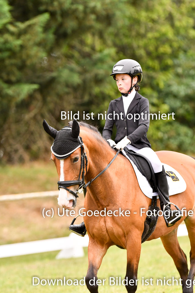 Goldene Schärpe Ponys in Hohenberg Krusemark 2024 | 12072024 Dressur _0782 