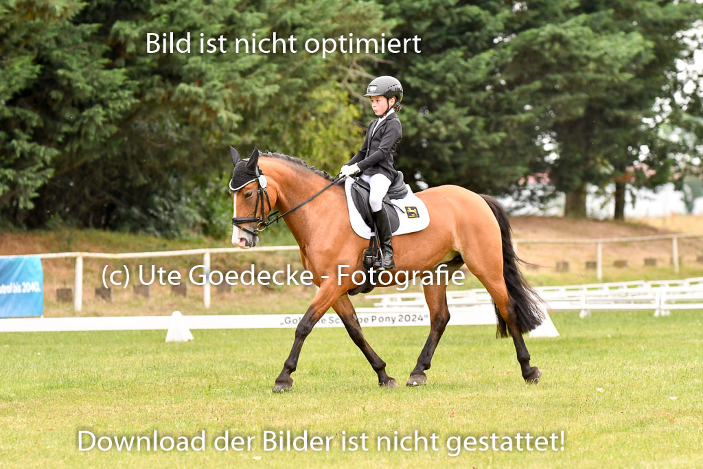 Goldene Schärpe Ponys in Hohenberg Krusemark 2024 | 12072024 Dressur _0784 