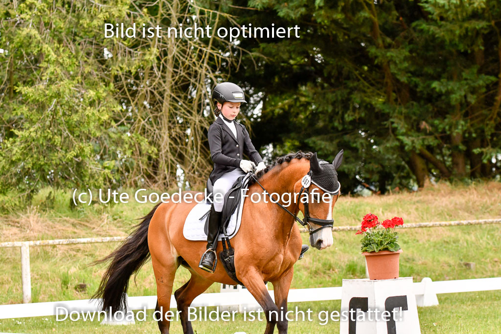 Goldene Schärpe Ponys in Hohenberg Krusemark 2024 | 12072024 Dressur _0785 