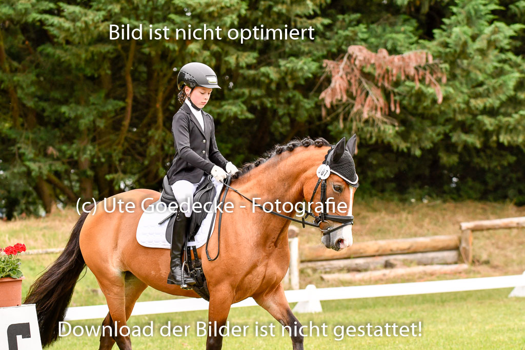 Goldene Schärpe Ponys in Hohenberg Krusemark 2024 | 12072024 Dressur _0786