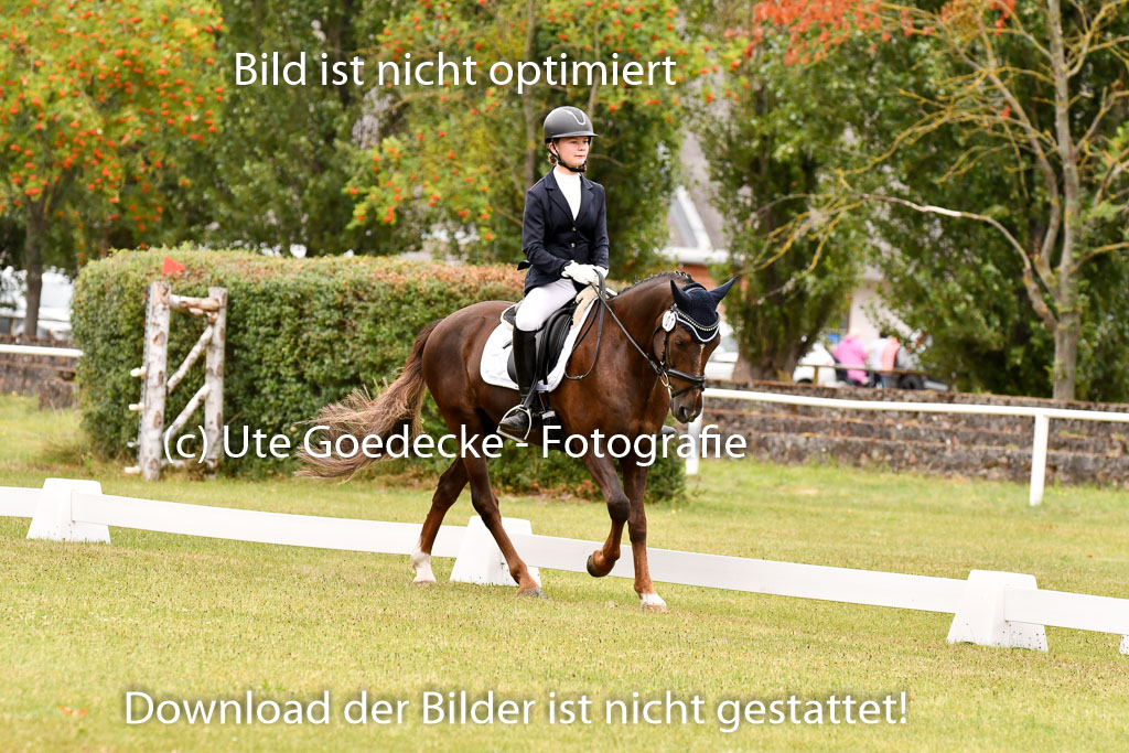 Goldene Schärpe Ponys in Hohenberg Krusemark 2024 | 12072024 Dressur _0790 