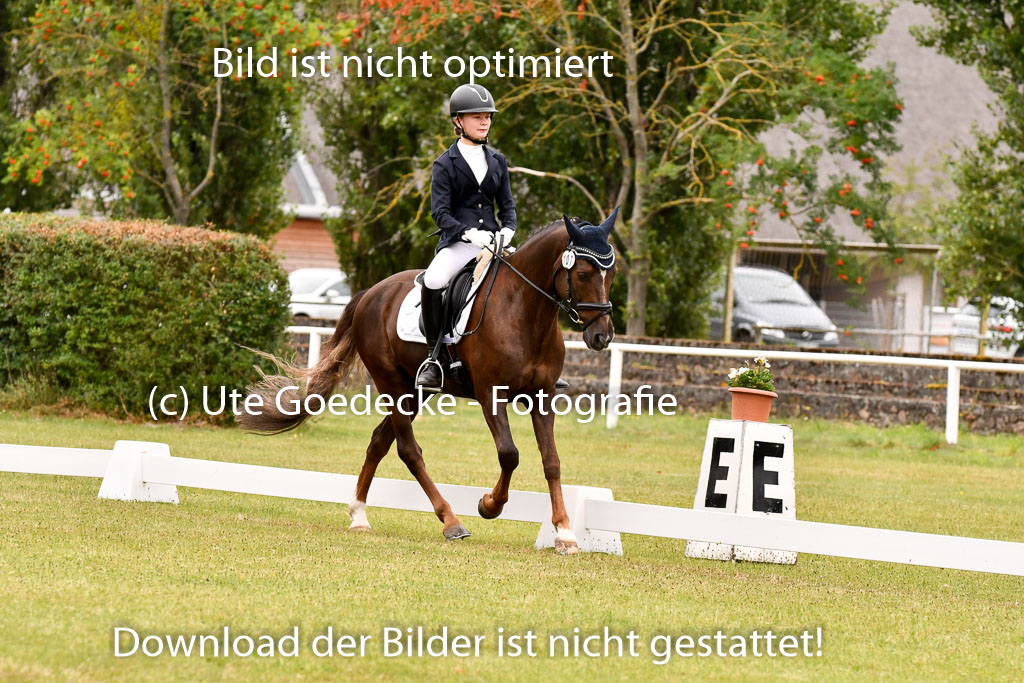 Goldene Schärpe Ponys in Hohenberg Krusemark 2024 | 12072024 Dressur _0791