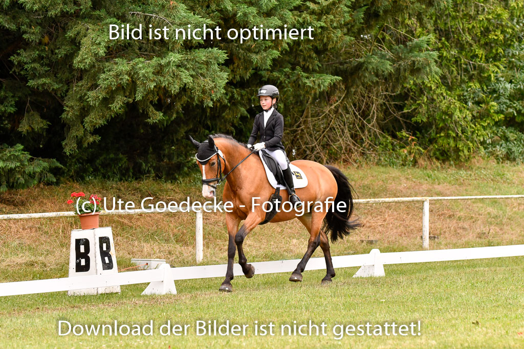 Goldene Schärpe Ponys in Hohenberg Krusemark 2024 | 12072024 Dressur _0793