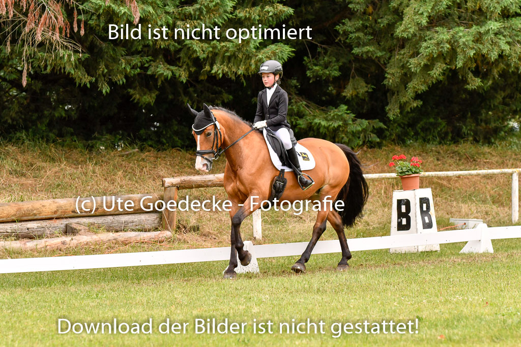 Goldene Schärpe Ponys in Hohenberg Krusemark 2024 | 12072024 Dressur _0794 